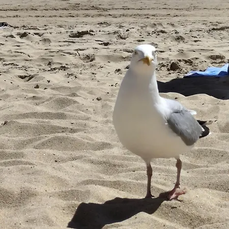 Aux Sables D'olonne Au Coeur De 아파트 Les Sables-dʼOlonne